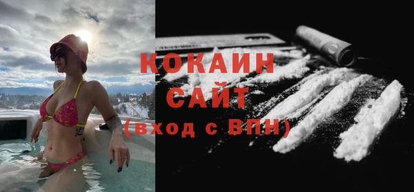 гашик Богородск
