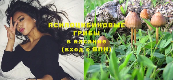 шишки Бронницы