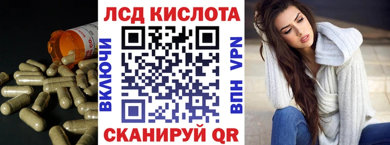 MEGA ссылки как найти закладки Володарск ЛСД экстази ecstasy